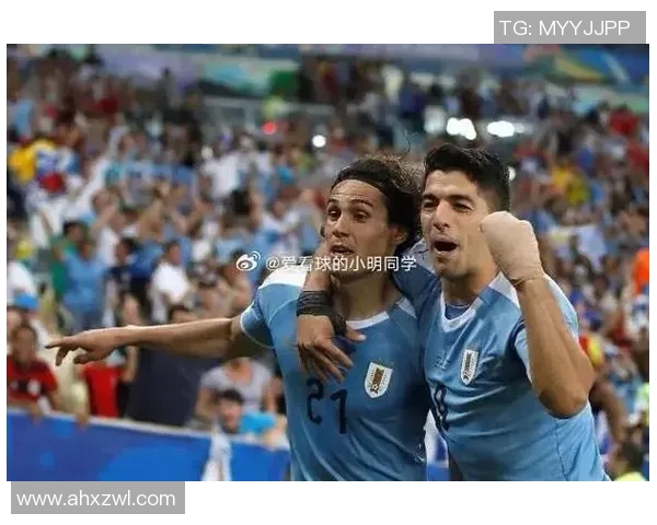 2017年秘鲁与乌拉圭激战回顾两队在世界杯预选赛中的精彩对决