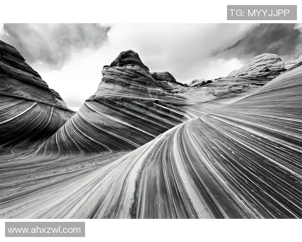 亚当斯的传奇人生与影响力探讨：从个人成就到社会变革的深远意义