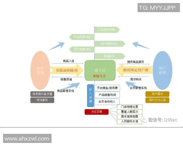 探索Vs利华古逊的市场策略与竞争优势分析 探索Vs利华古逊的市场策略与竞争优势分析