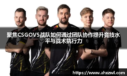 凤凰联盟官网入口