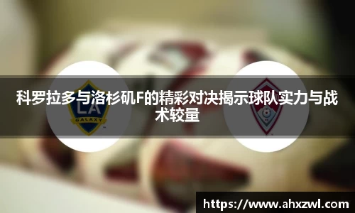 凤凰联盟官网入口