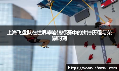 凤凰信誉联盟官方网站